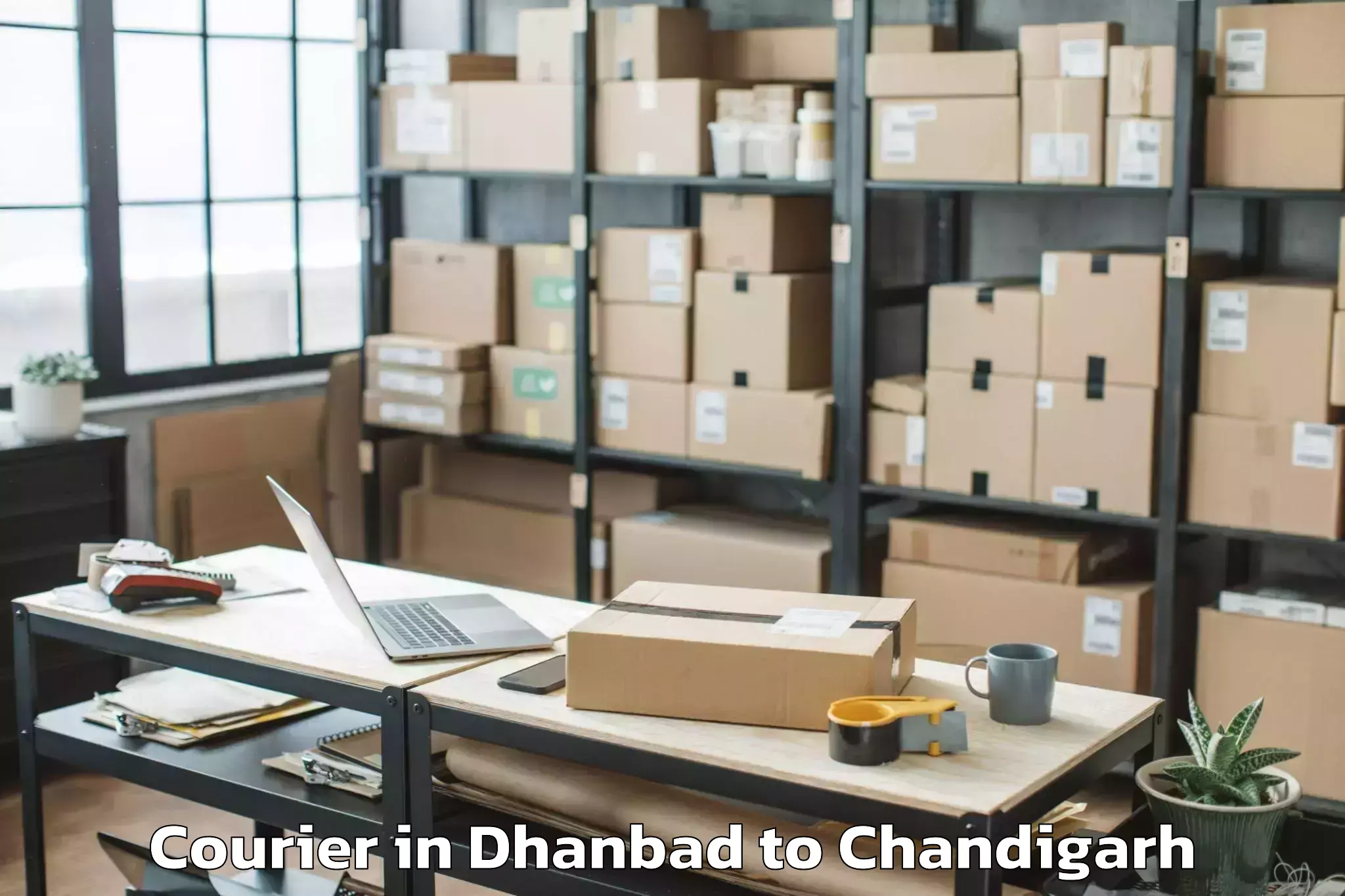 Top Dhanbad to Elante Mall Courier Available